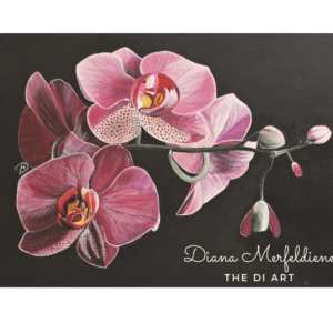 The Orchid -Acrylic Painting